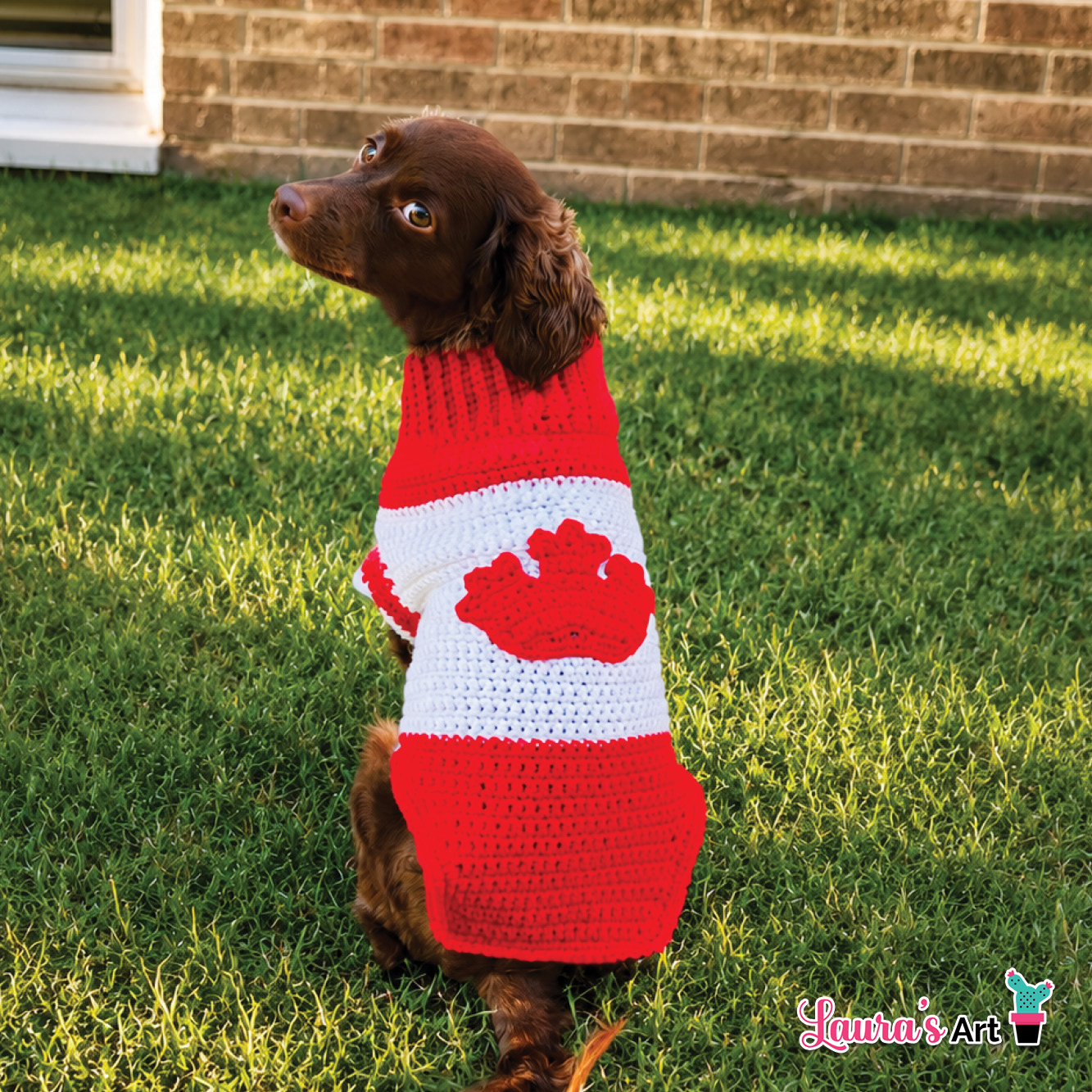 Crochet Go Canada Dog Sweater - Crochet Pattern