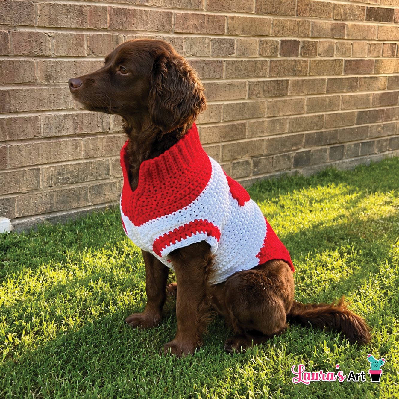 Crochet Go Canada Dog Sweater - Crochet Pattern